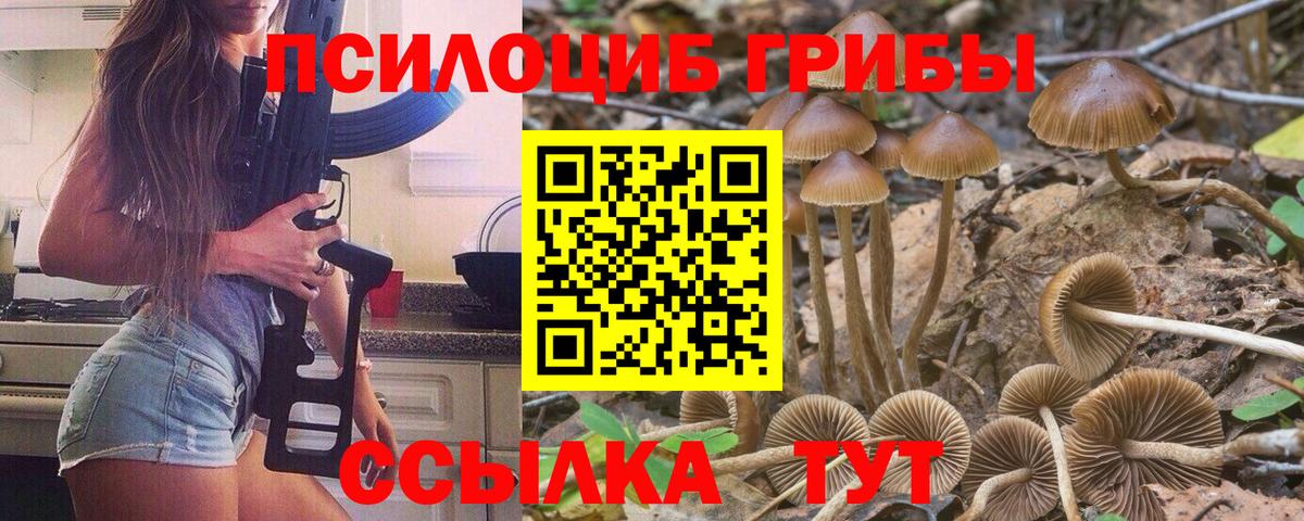 Псилоцибиновые грибы Psilocybine cubensis  Вход с VPN  Псилоцибиновые грибы ЛСД  Усть-Джегута 